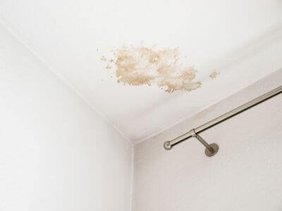 About Black Mold Removal Cedar Mill - black mold removal experts in Cedar Mill